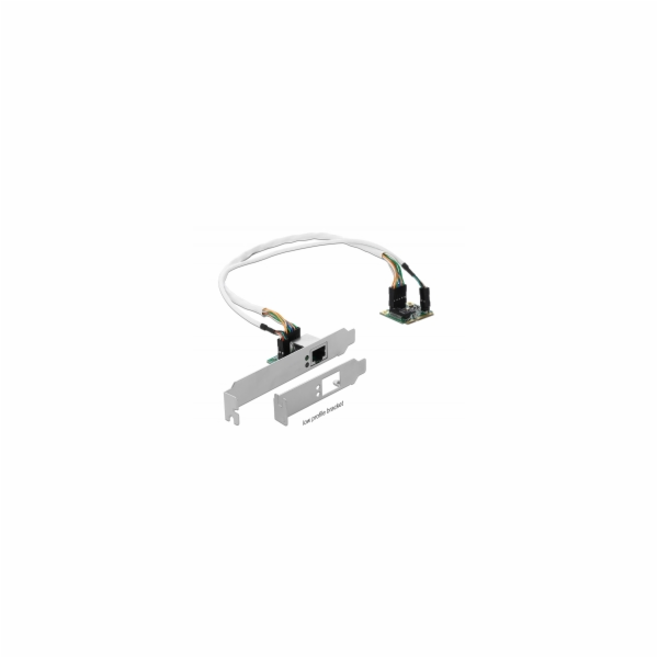 DeLOCK Mini PCIe I/O PCIe poloviční velikost 1 x Gigabit ...
