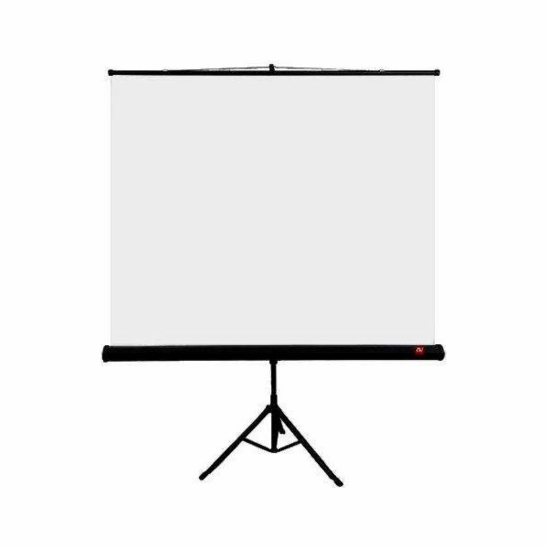 Avtek Tripod Standart 175 projection screen 1:1