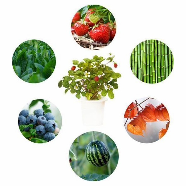 Smart Garden Experimentálna náplň