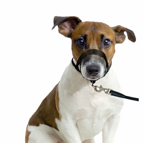 Karlie Ohlávka jednoduchá černá XS