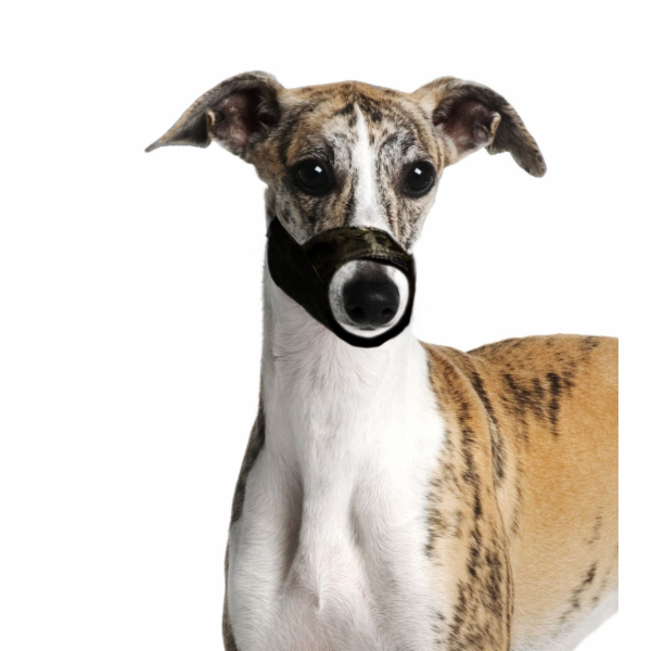 Karlie Náhubek pro psa nylon XS, obvod tlamy 15cm