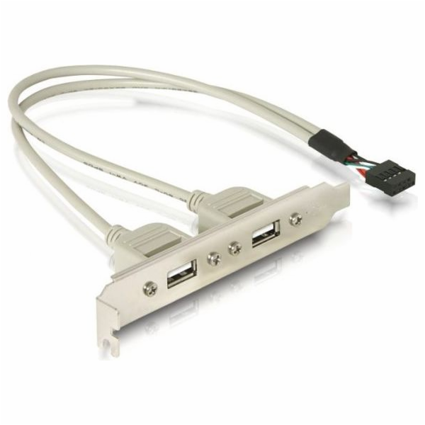 DeLOCK kryt slotu USB 2.0, 10pin header > 2x zásuvka USB-A