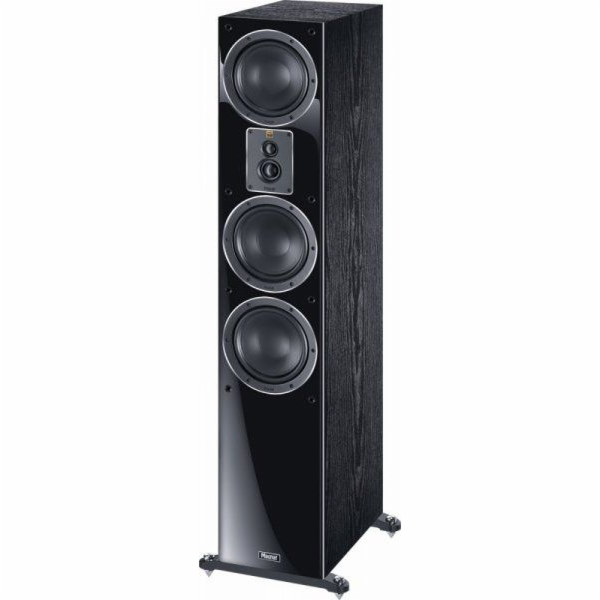 Kolumna Magnat Signature 507 200 W