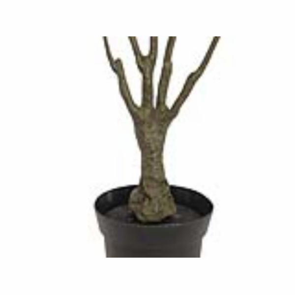 Dracena zeleno-červená, 90 cm