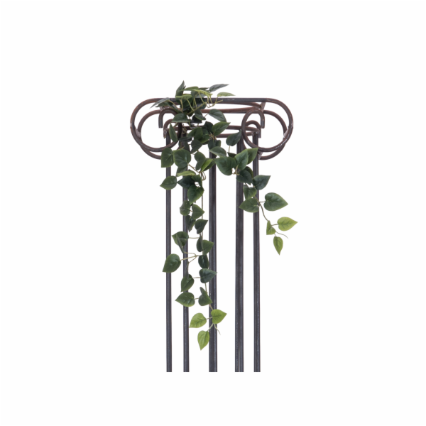 Filodendron trs střední, 70 cm