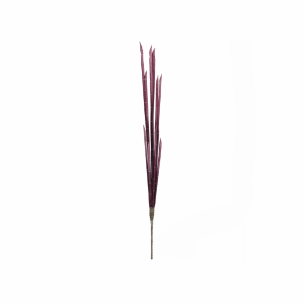 Magické stonky cibule růžové, 134 cm