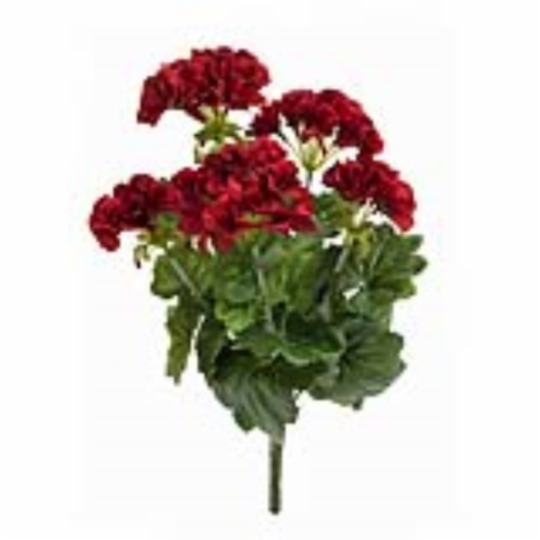 Červená Pelargonie, 42 cm