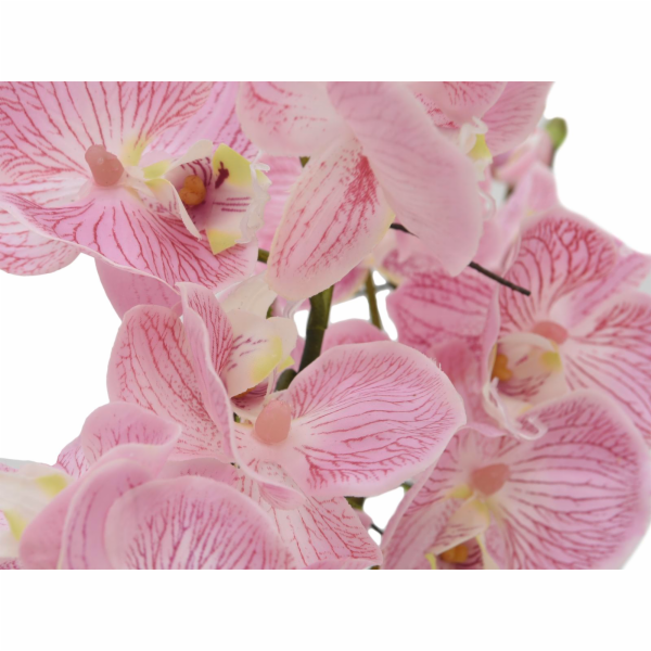 Orchidej aranžmá s květináči, růžová, 60 cm.