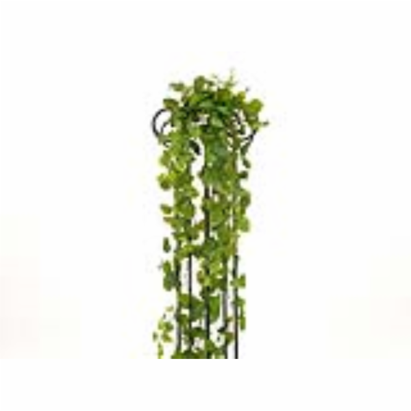 Girlanda Photosu Premium, 170 cm