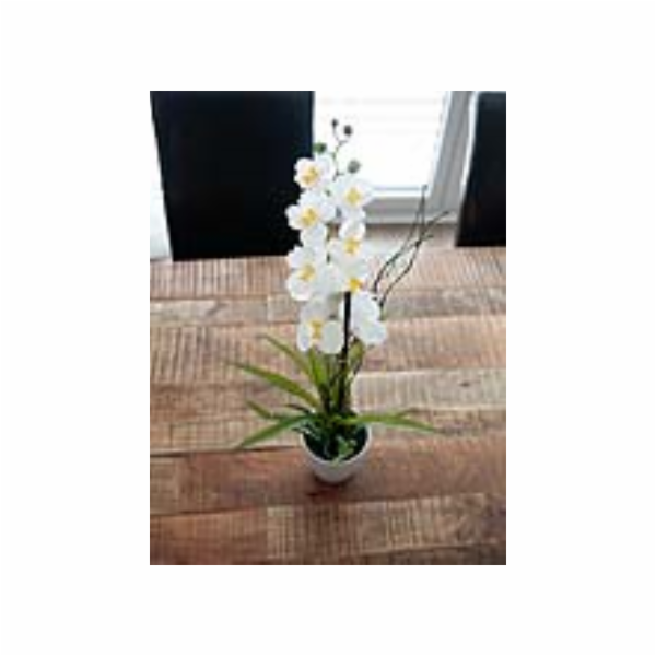 Orchidej bílá v dekoračním květináči, 62 cm