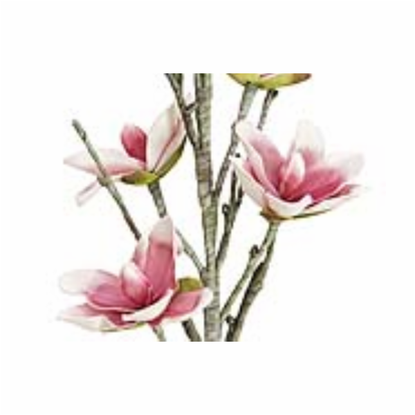 Větvička magnolie růžovobílá, 100 cm