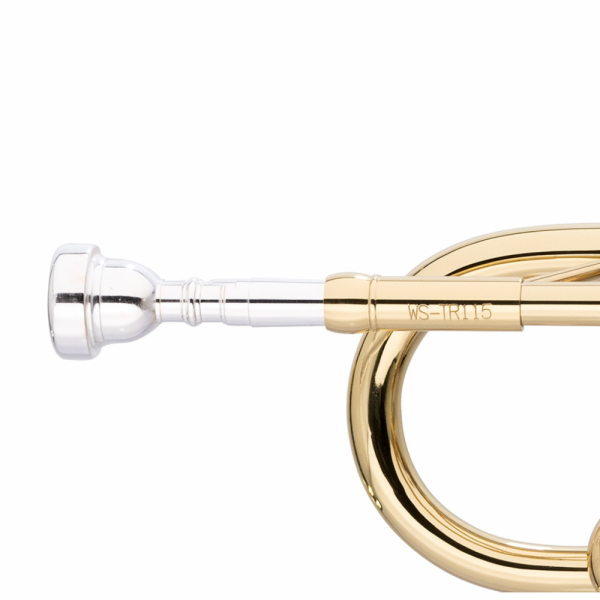 Stagg WS-TR115