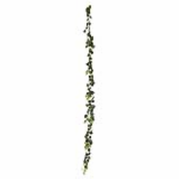 Girlanda z potosu, 180 cm