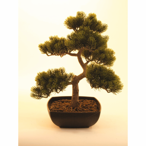 EUROPALMS Bonsai borovice, umělá rostlina, 50cm