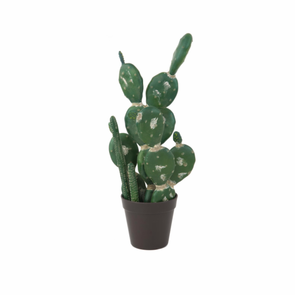 Kaktus mix v květináči, 54cm