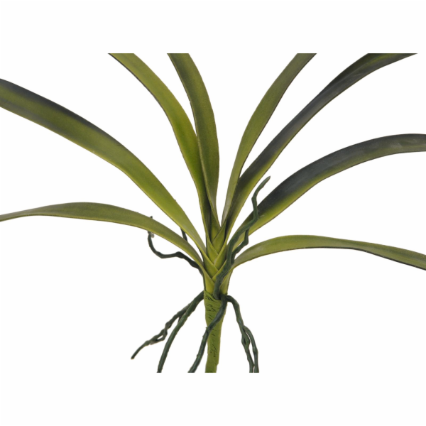 Orchidej listy, zelené, 45 cm