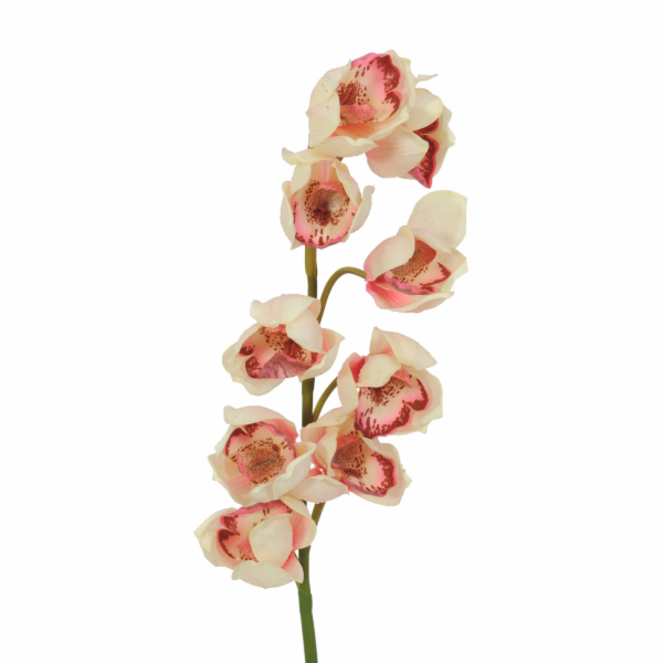 Orchidej větvička, krémově růžová, 90 cm