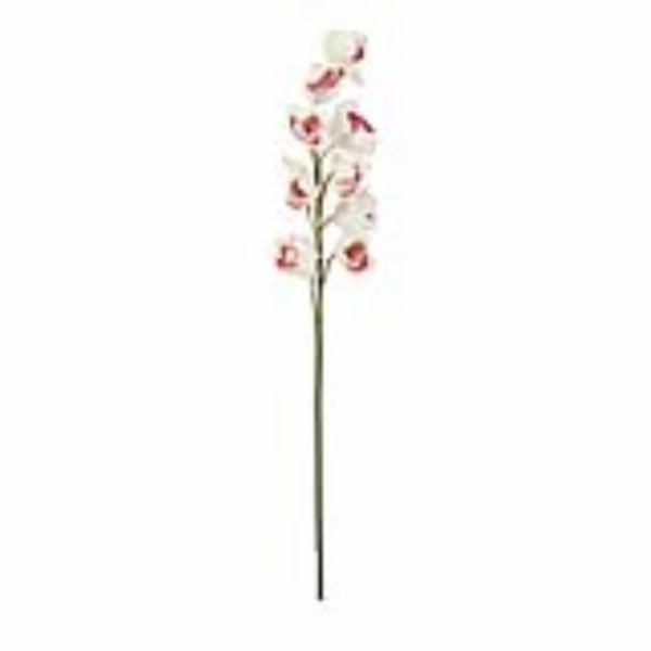 Orchidej větvička, bílo-růžová, 90 cm