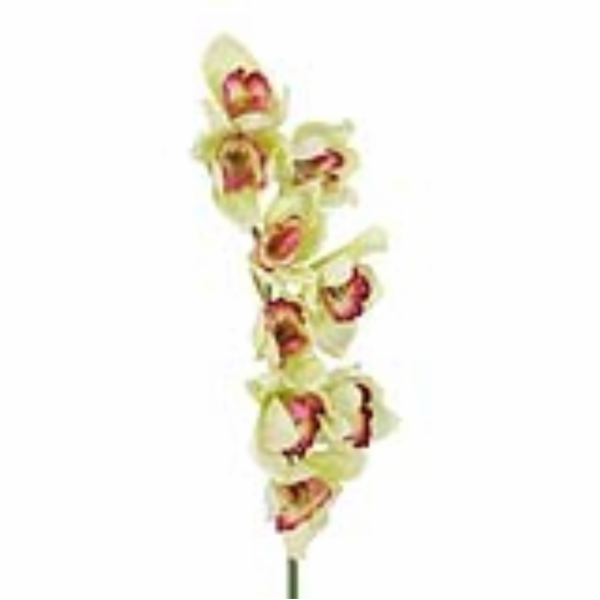 Orchidej větvička, zelená, 90 cm