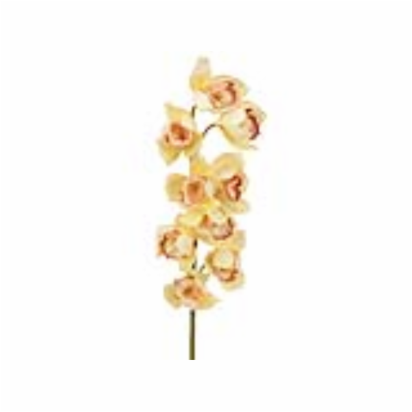 Orchidej větvička, žlutá, 90 cm