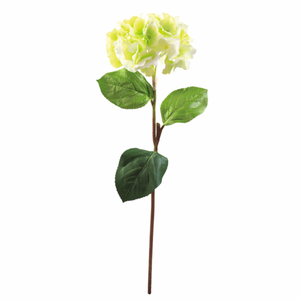 Hortenzie větvička zelená, 76 cm