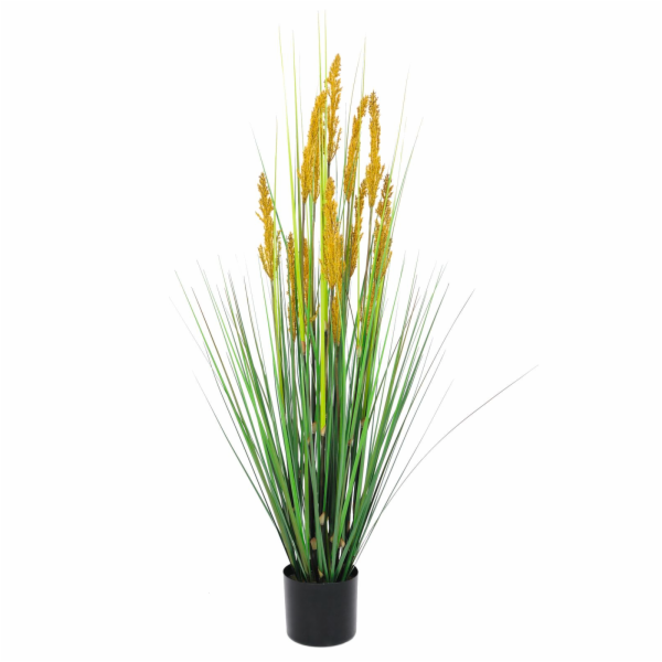 Polní tráva s klasy, 120 cm