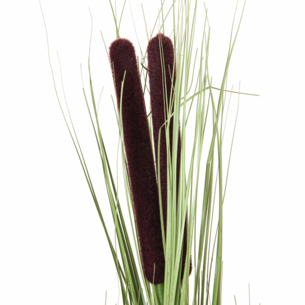 Europalms rákos s orobincem, světle zelený, umělý, 152 cm