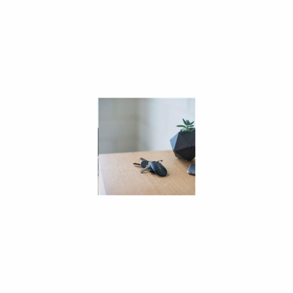Ajax SpaceControl black (6108)