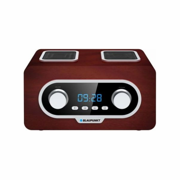 Blaupunkt PP5.2BR