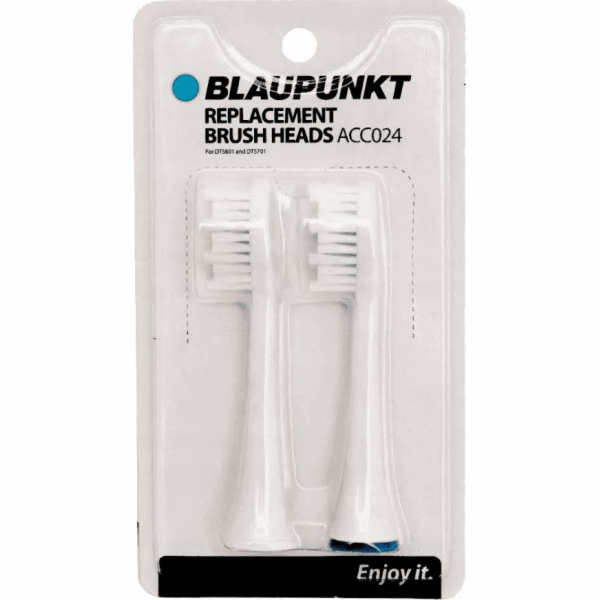 Blaupunkt ACC024