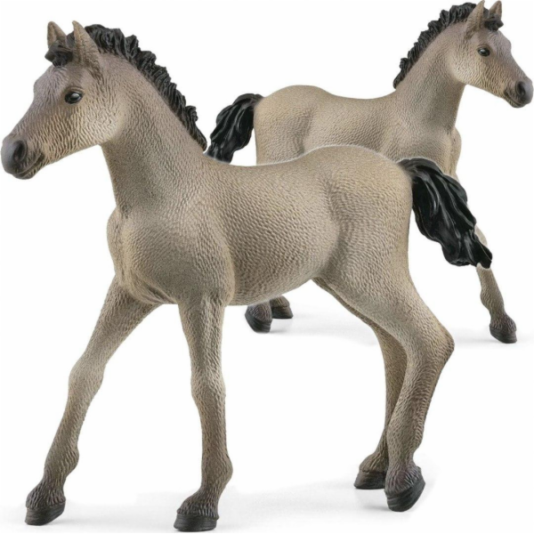 Schleich Horse Club     13949 Criollo Definitivo Foal