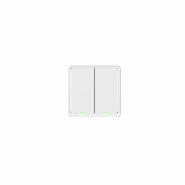 Tesla Smart Switch Dual Battery