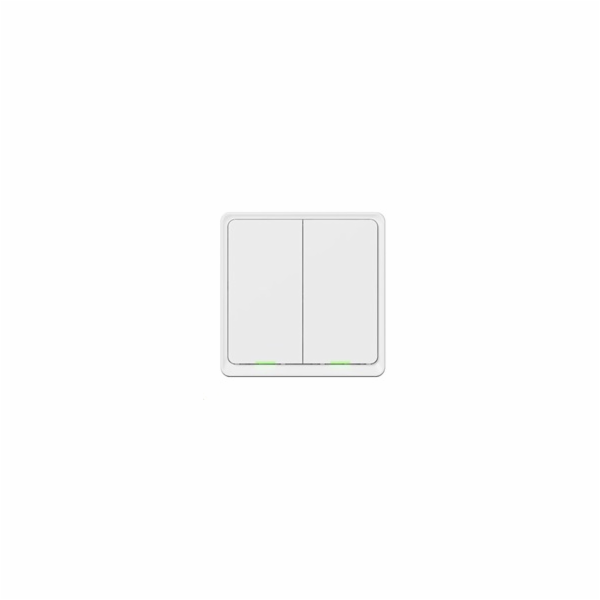 Tesla Smart Switch Dual