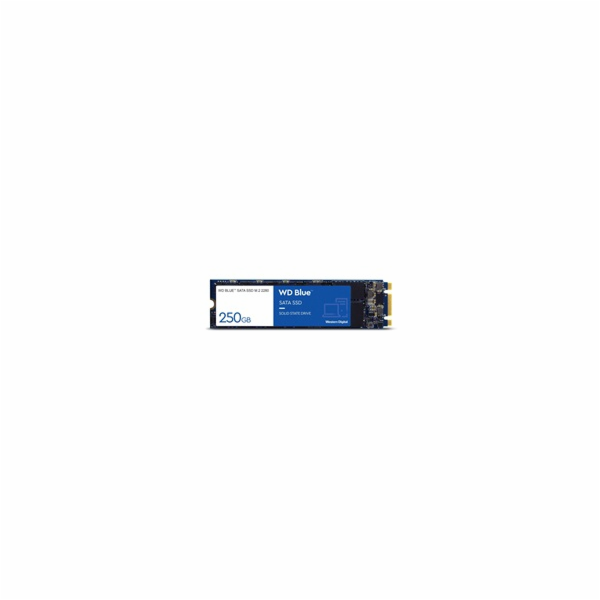 WD Blue SA510/1TB/SSD/M.2 SATA/5R
