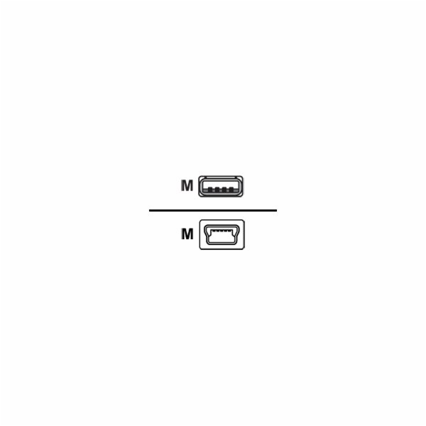 Console Cable 6 Feet with USB Type A and mini-B Connectors