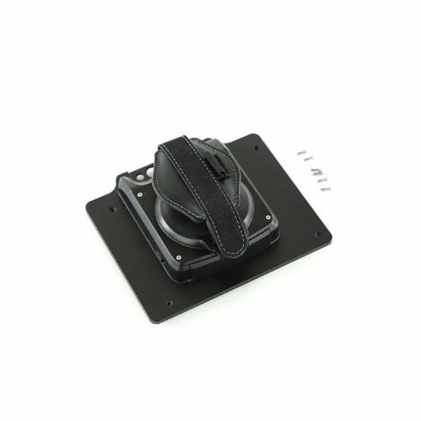 Zebra expansion back, 8  