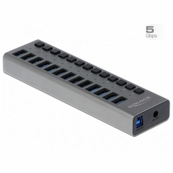 Delock Externí SuperSpeed USB Hub se 13 porty + vypínač 6...