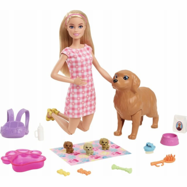 Barbie Doll And Pets