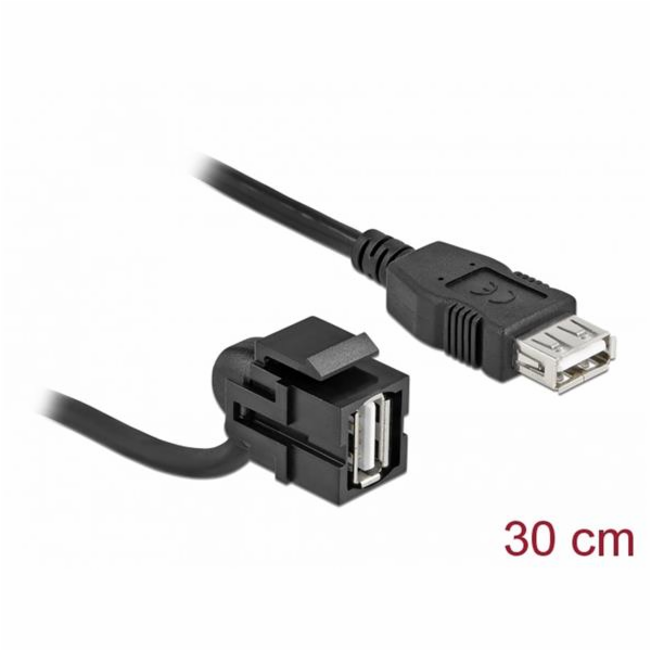 Delock&nbsp;Keystone&nbsp;modul&nbsp;USB&nbsp;2.0&nbsp;A&nbsp;samice&nbsp;110°&nbsp;>&nbsp;USB&nbsp;2.0&nbsp;A&nbsp;s...