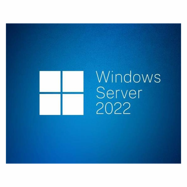 MICROSOFT Windows Server CAL 2022 Cze 1pk 1Clt Dev CAL OE...