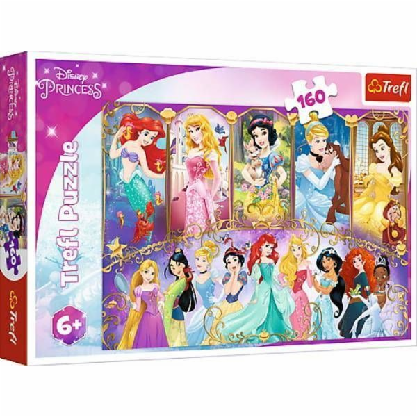 Puzzle 160 dílků Portréty princezen