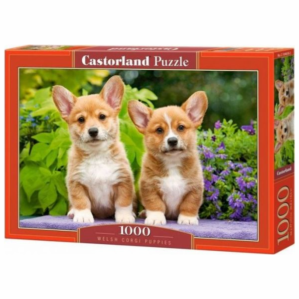 Castorland Puzzle 1000 dílků Corgi štěňata psů
