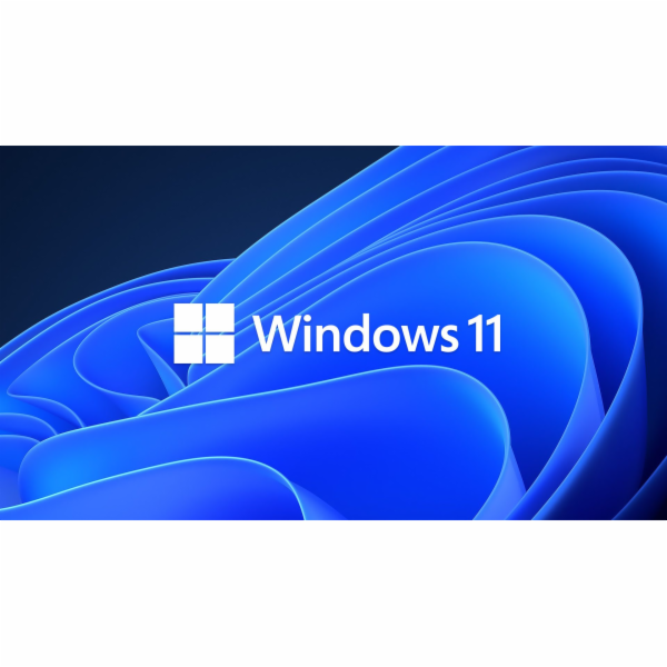 Microsoft OEM Win Pro pro Wrkstns 11 PL x64 HZV-00117 Nah...