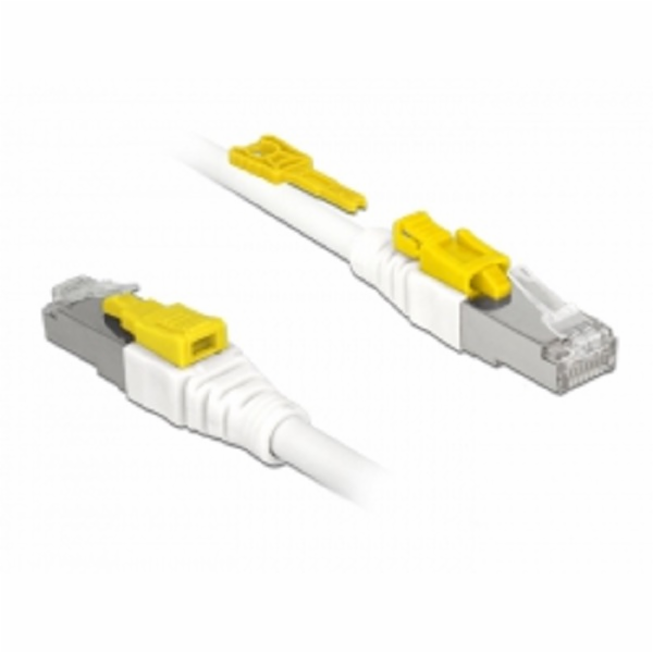 Patch kabel DeLOCK RJ45 Secure Cat.6a S/STP