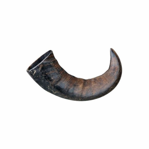 Trixie Buffalo Horn Teether Medium