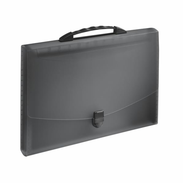 Esselte Folder s přihrádkami a uchem A4 Vivida (10K053A)