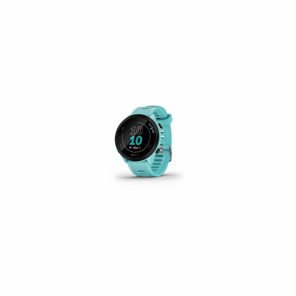 Garmin GPS sportovní hodinky Forerunner 55 Blue, EU