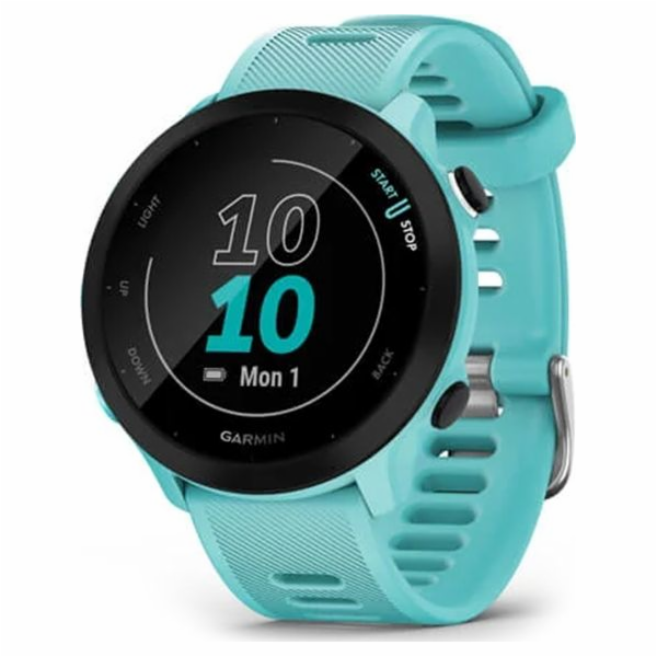 Garmin GPS sportovní hodinky Forerunner 55 Blue, EU