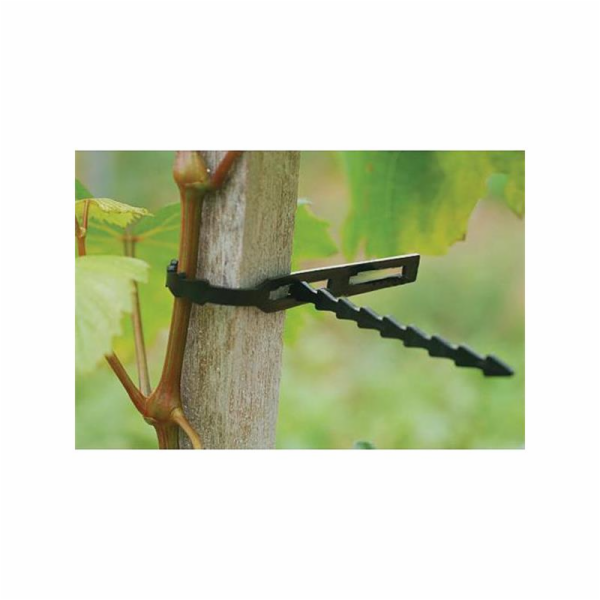 Pásek upínací na rostliny 22 cm 80 ks zelený