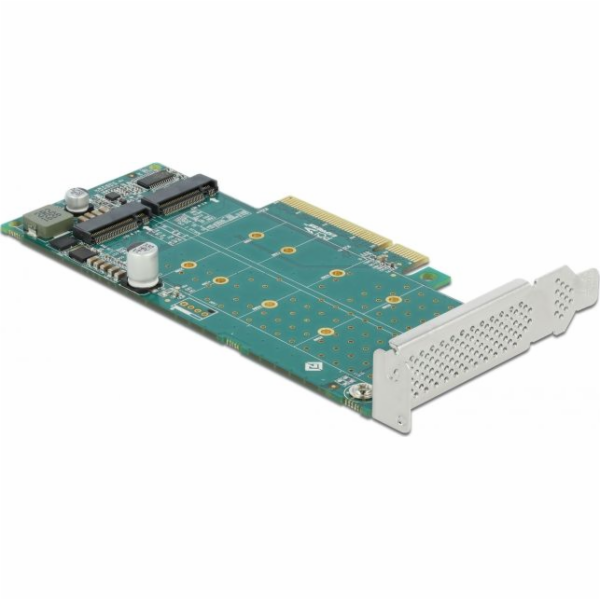 DeLOCK PCI Express x8 karta pro 2 x interní NVMe M.2 Key ...